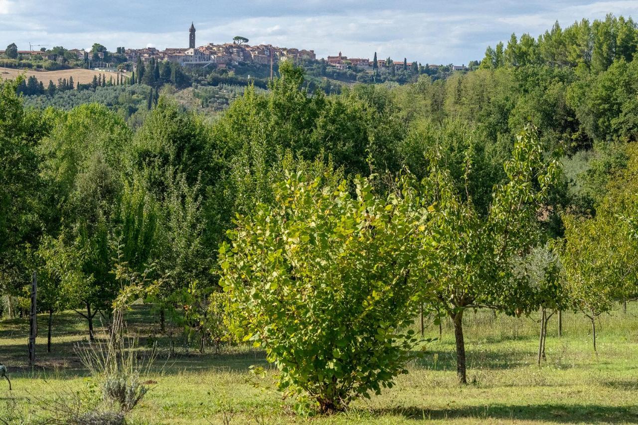Agriturismo La Valle Peccioli Exterior foto